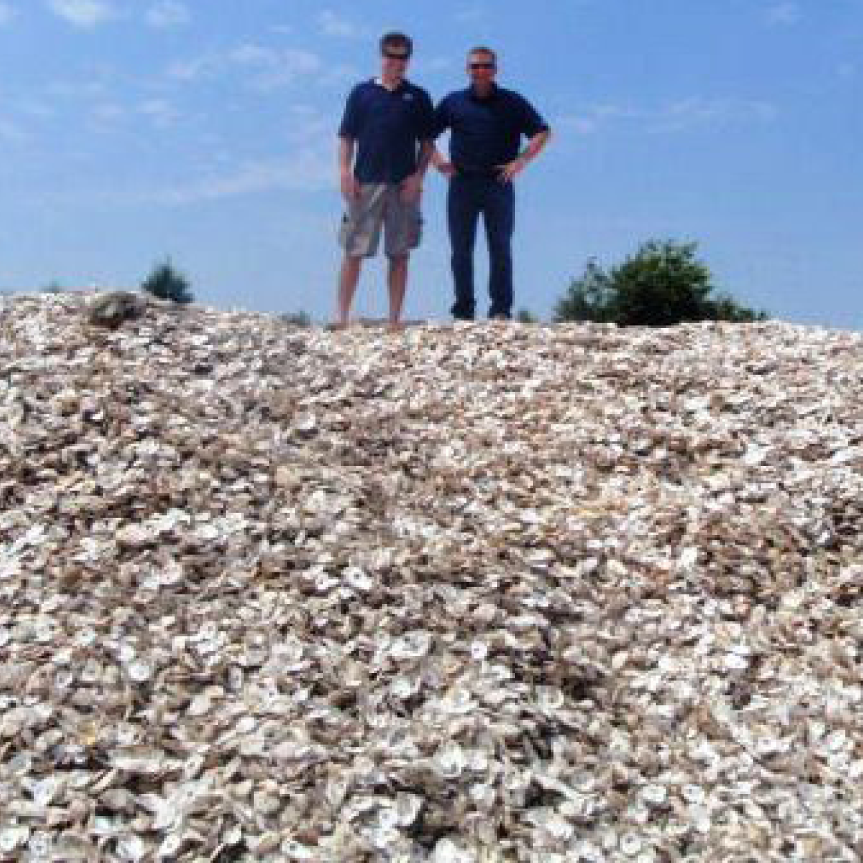 Oyster Recovery Partnership