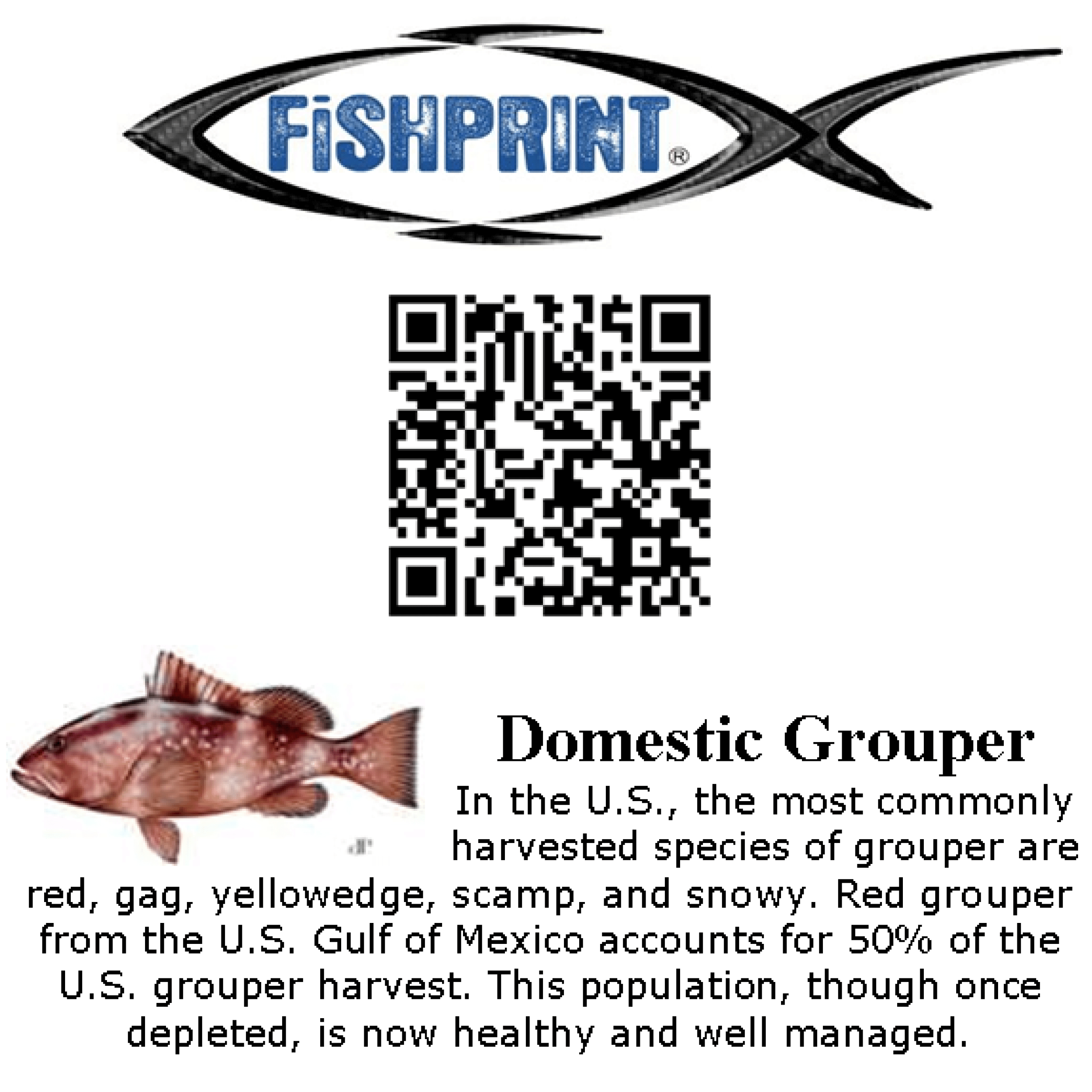 FishPrint Traceability System